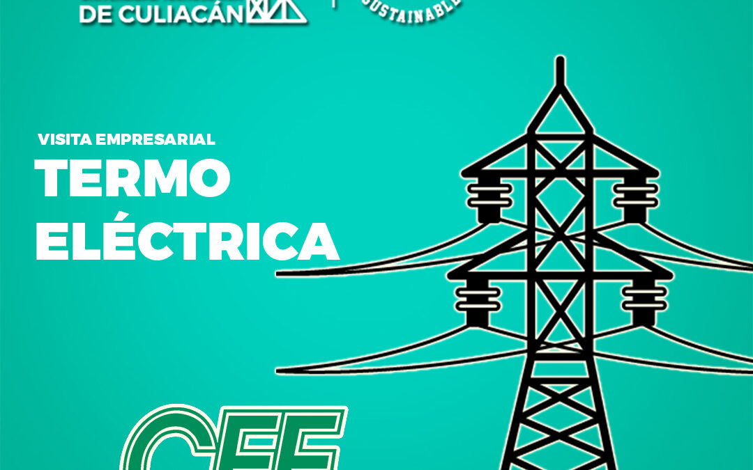 Visita Empresarial Termo Eléctrica CFE