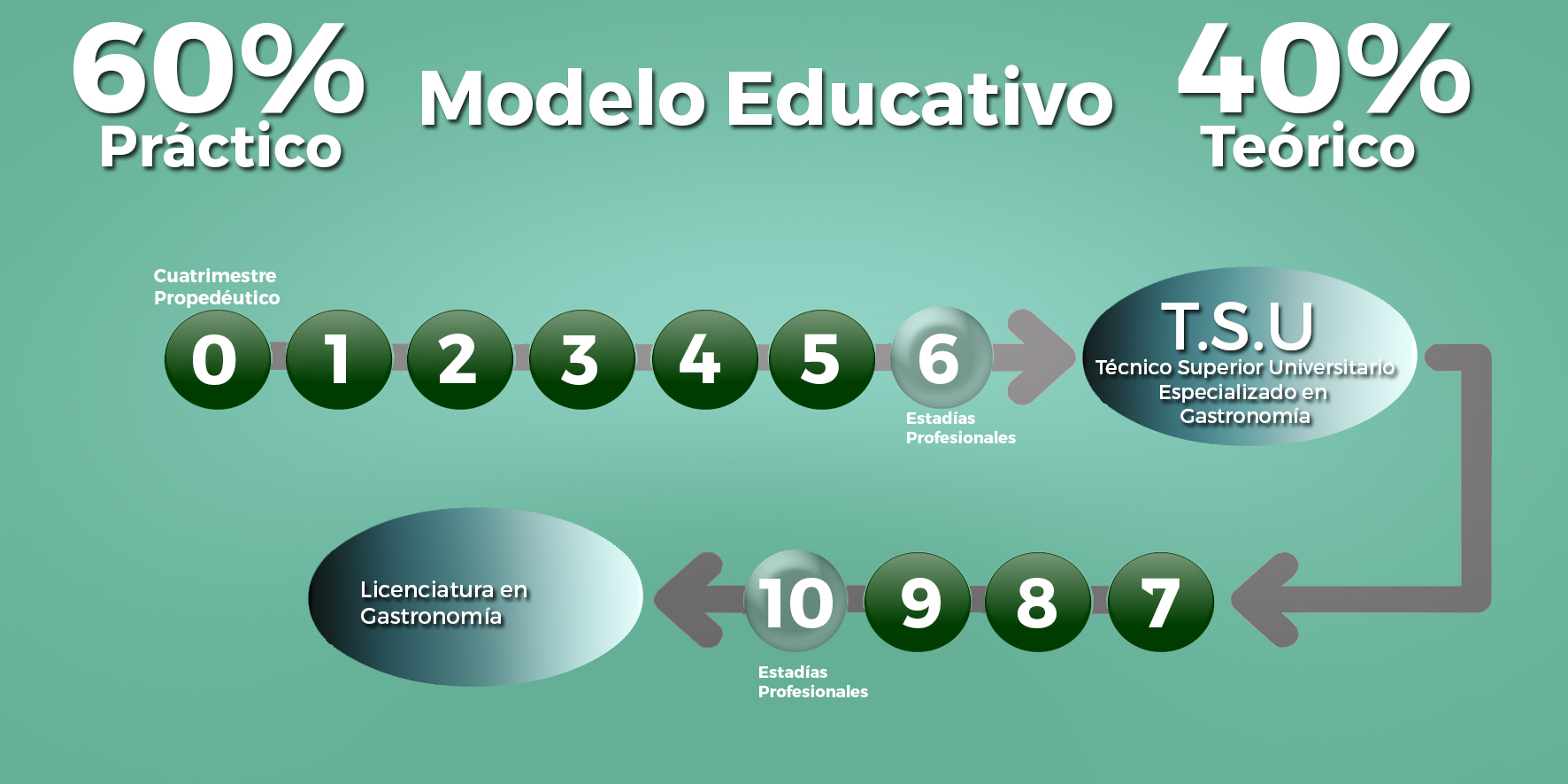 Diagrama modelo educativo de la Universidad Tecnológica de Culiacán